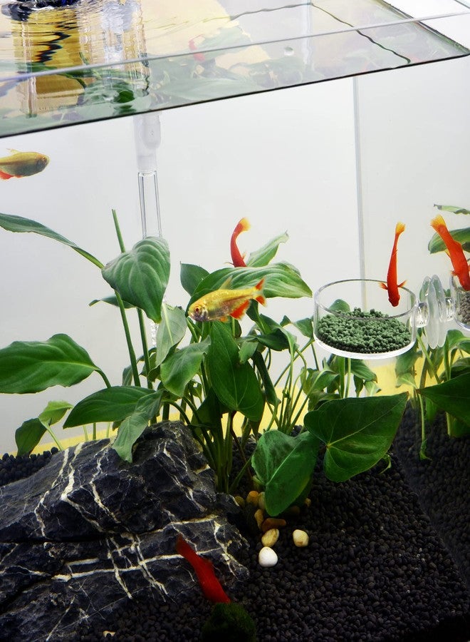 Dannisly Aquarium Shrimp Feeder Dish Round Fish Tank Feeder Bowls Clear Aquarium Feeding Cup with Suction Cup - Image 5